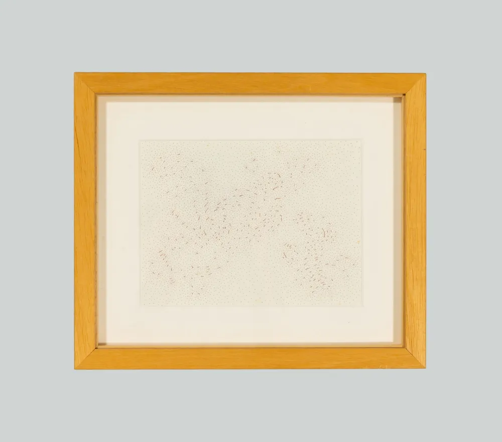 Non Tecnico Dadamaino - In luogo del bianco e del nero (Costellazioni)