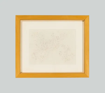 Non Tecnico Dadamaino - In luogo del bianco e del nero (Costellazioni)