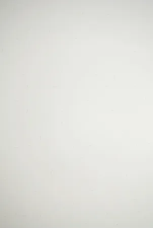 Litografia Dadamaino - Senza titolo