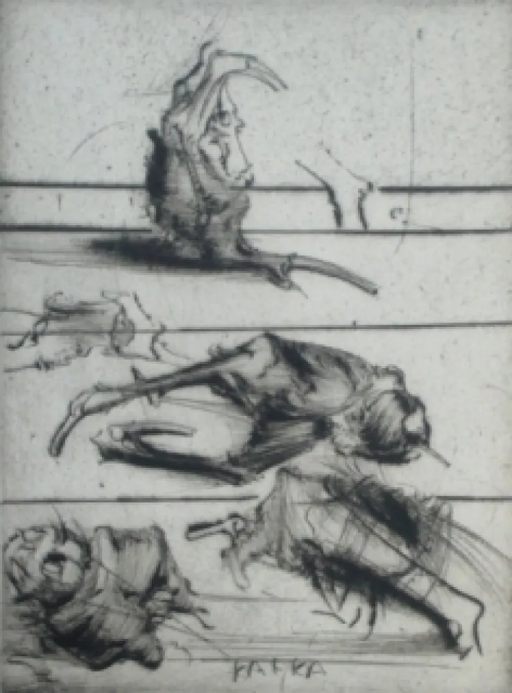 Acquaforte Dado - Kafka