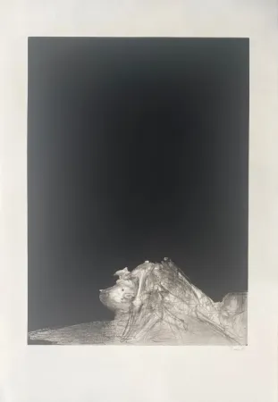 Incisione Dado - Sans titre