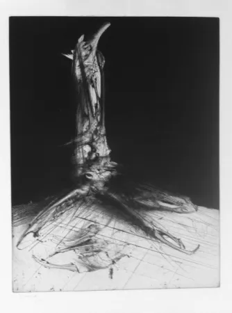 Incisione Dado - Sans titre