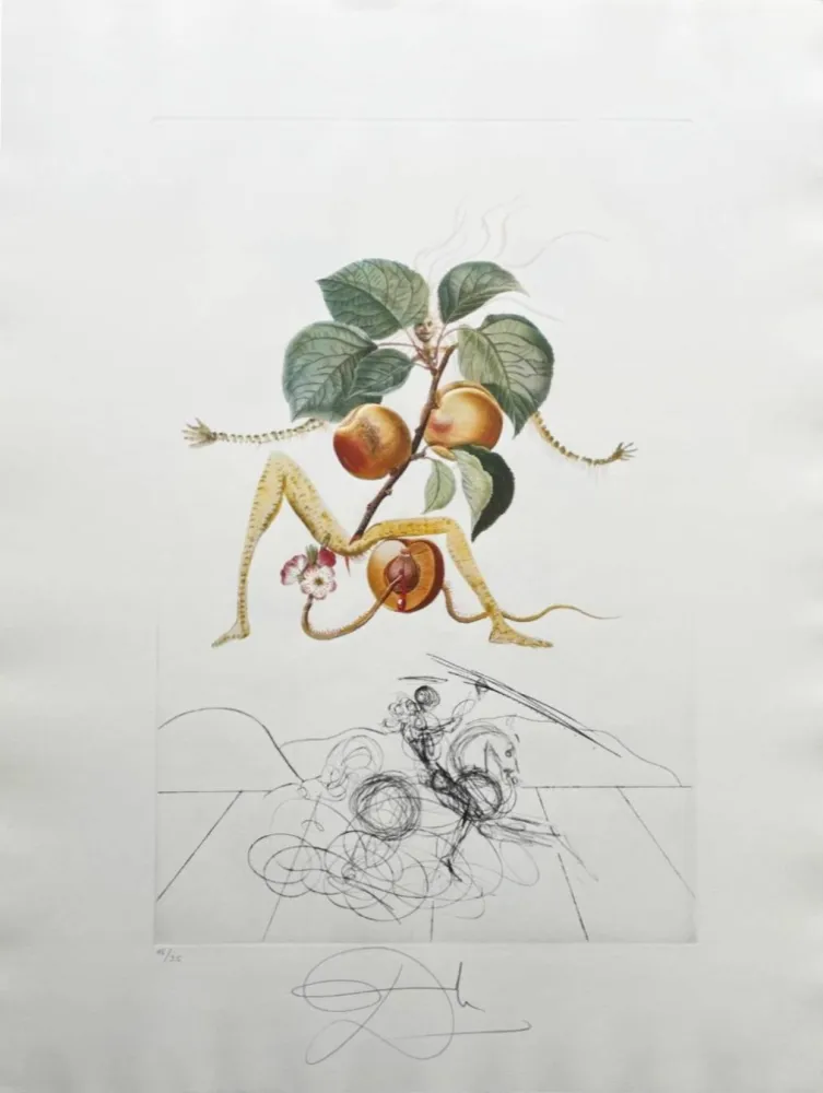 Litografia Dali - Abricot chevalier (Apricot Knight)