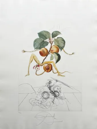 Litografia Dali - Abricot chevalier (Apricot Knight)