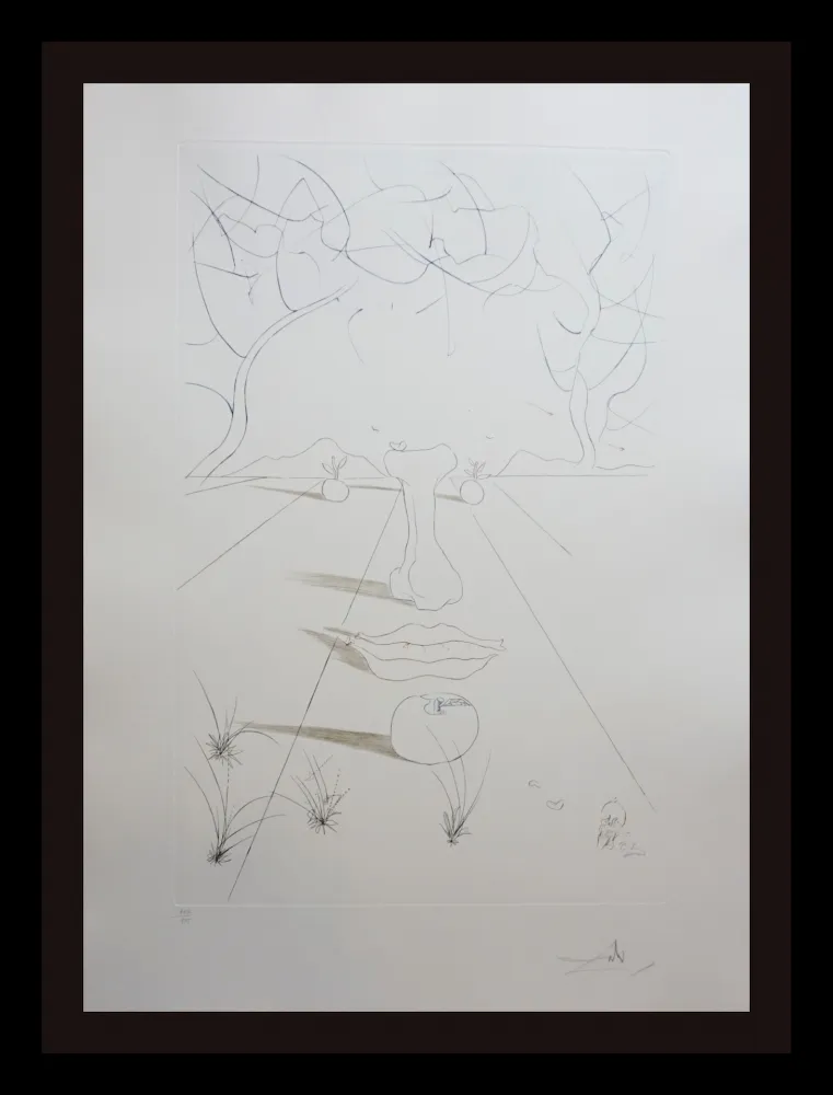 Incisione Dali - Aurelia Visage Surrealiste