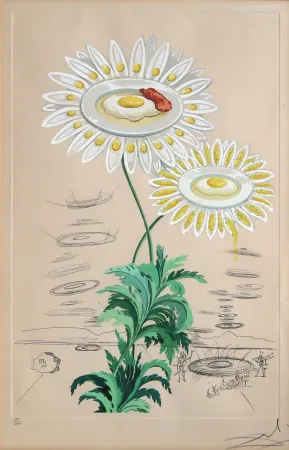 Incisione Dali - Chrysanthemum Frutescens