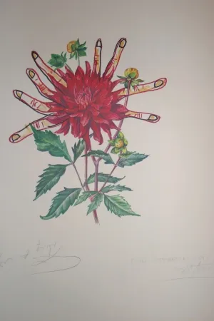 Litografia Dali - Dahlias of Dalí (surrealistic flowers)