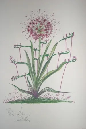 Litografia Dali -  Desert Cactus (surrealistic flowers)