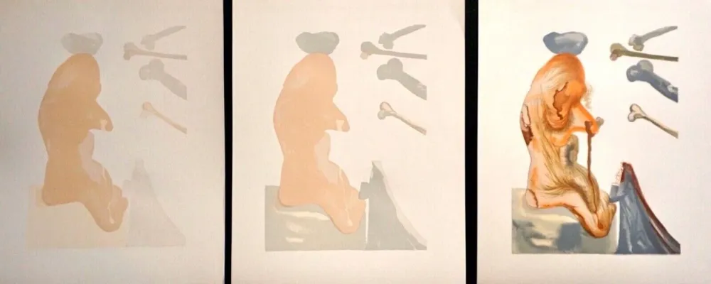 Incisione Su Legno Dali - Divine Comedy Hell Canto 20 Decomposition (3 Pieces)