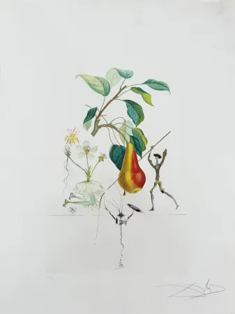Litografia Dali - Don Quixote Pear from Flordali suite