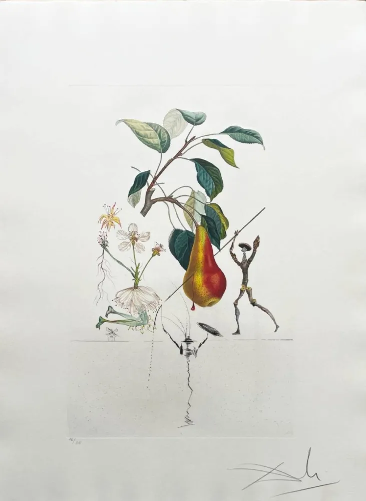 Litografia Dali - Don Quixote Pear from Flordali suite