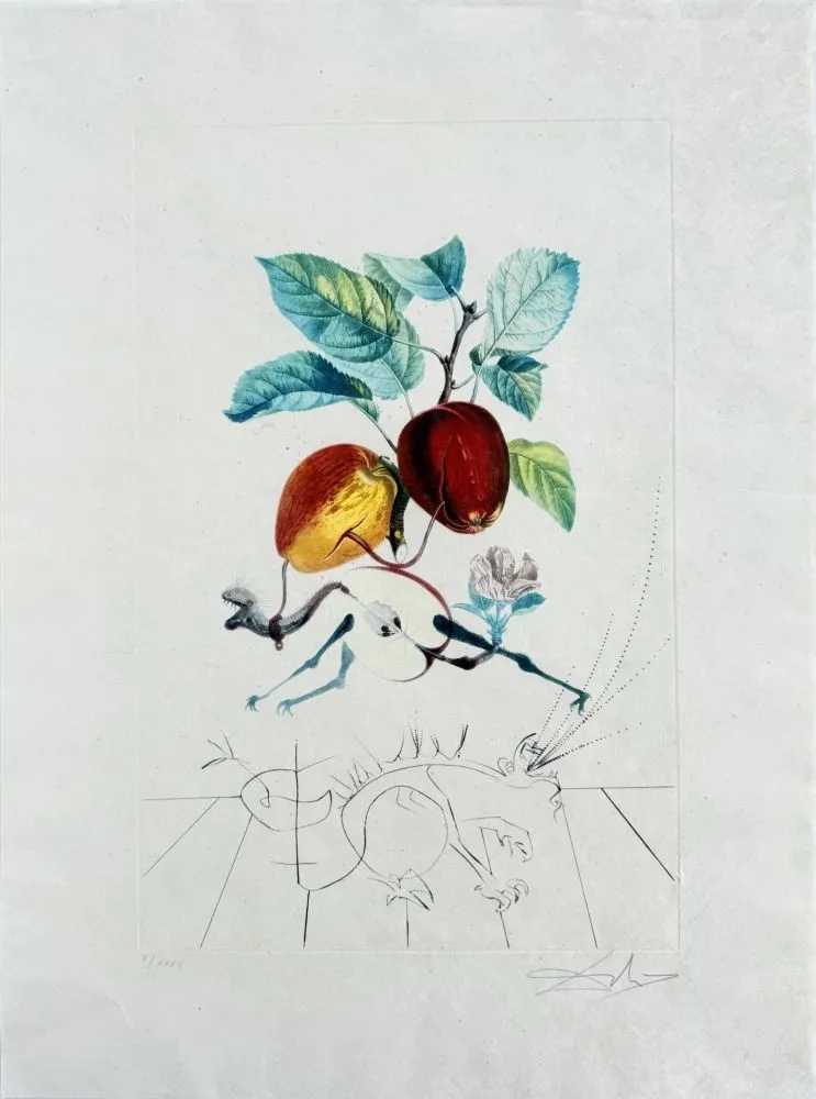 Litografia Dali - Dragon Apple from Flordali suite