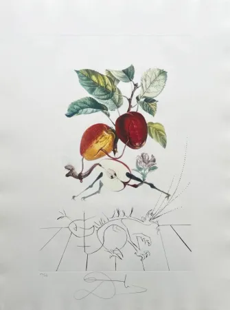 Litografia Dali - Dragon Apple from Flordali suite