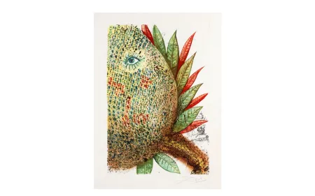 Acquaforte E Acquatinta Dali - FLEURS RÊVÉES. Portfolio complet. 7 estampes (1970)