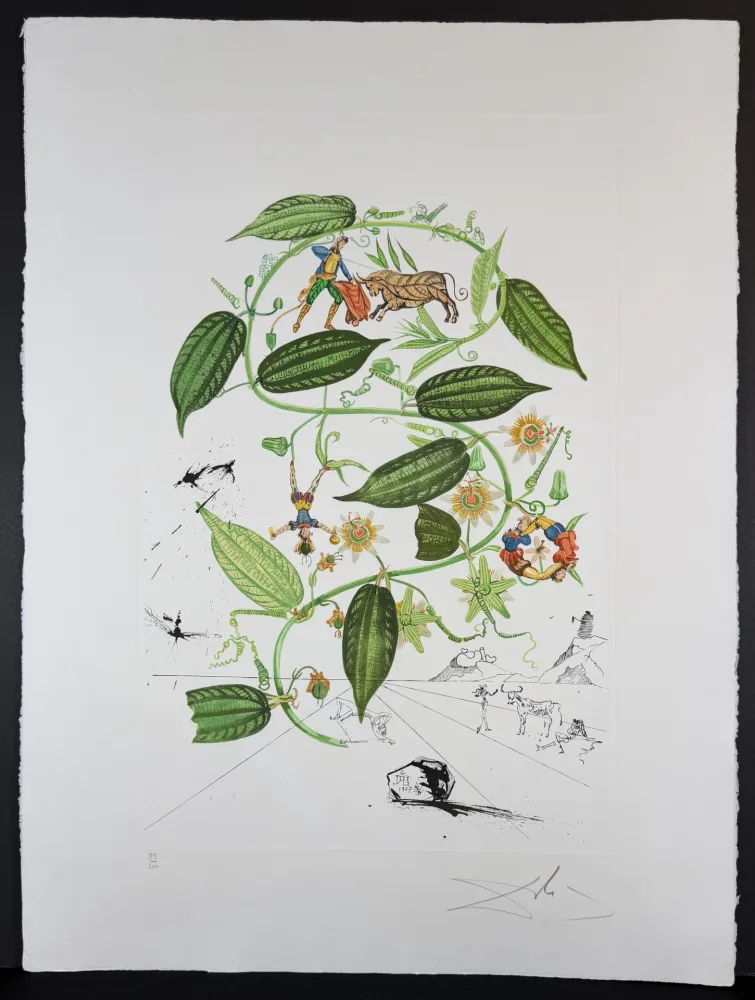 Incisione Dali - Flora Dalinae Passionflower