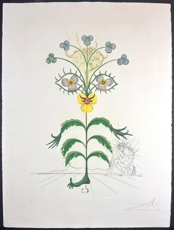 Incisione Dali - Flora Dalinae Viola Cogitans/Self-Portrait Pansy