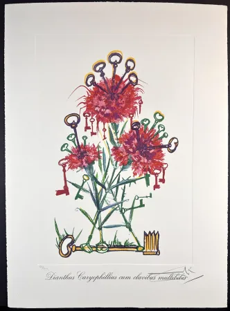 Incisione Dali - Florals Carnation Keys