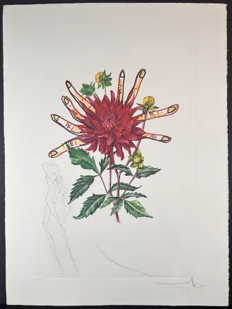 Incisione Dali - Florals Dahlia (+ Fingers) Venus