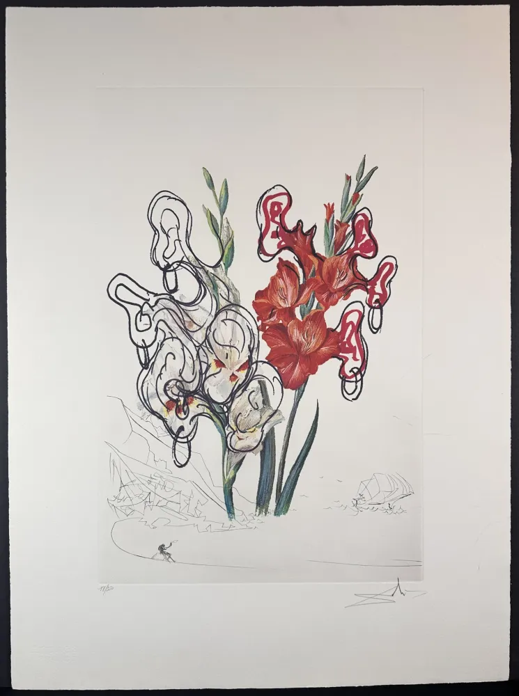 Incisione Dali - Florals Gladiolus Costa Brava