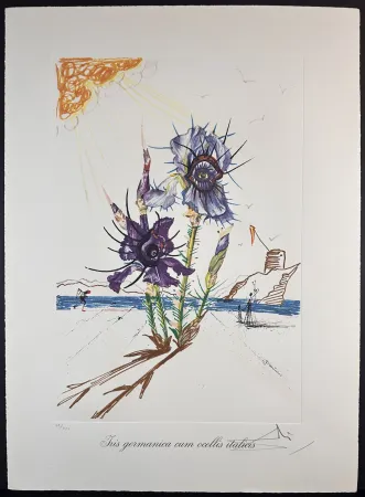 Incisione Dali - Florals Iris of Dali's Youth
