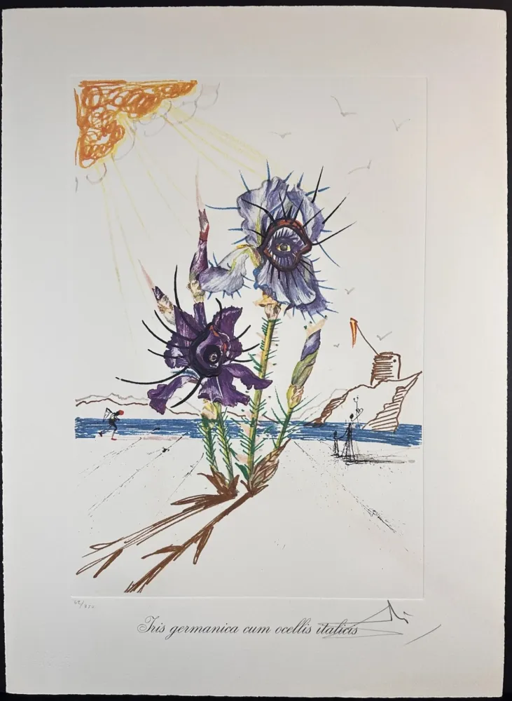 Litografia Dali - Florals Iris of Dali's Youth