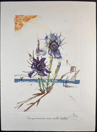 Litografia Dali - Florals Iris of Dali's Youth