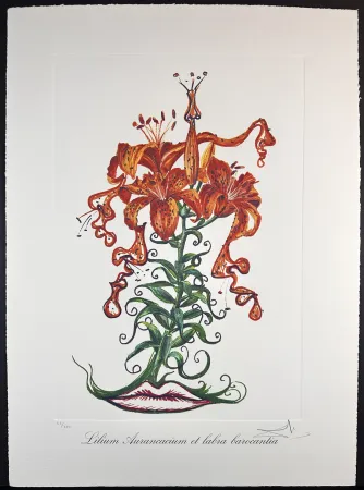 Incisione Dali - Florals Tiger Lilies of The Theatre