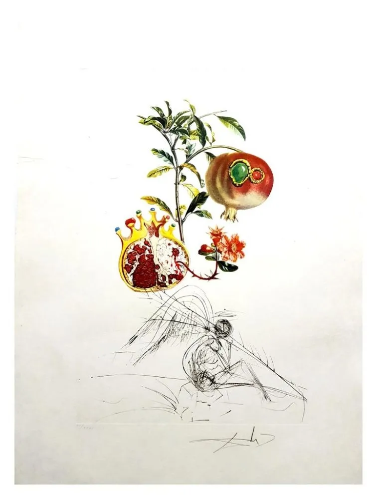 Incisione Dali - Flordali - Grenade et l'Ange