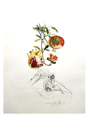 Incisione Dali - Flordali - Grenade et l'Ange