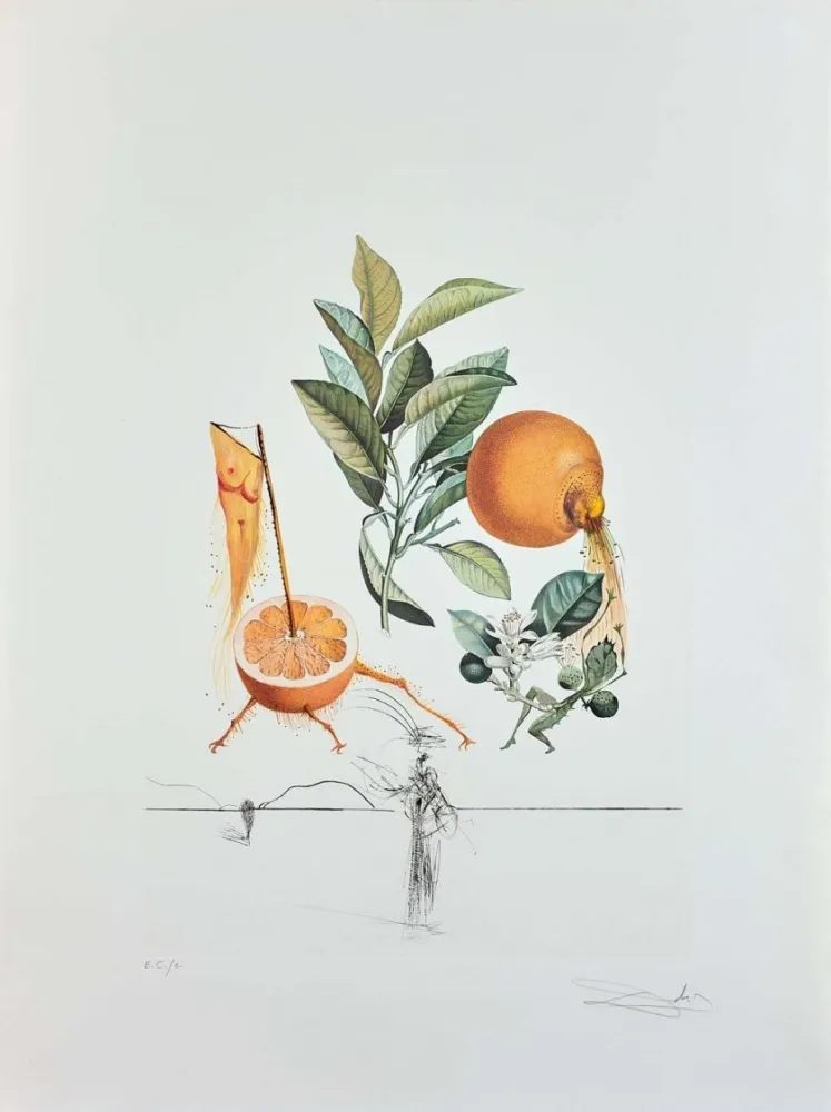 Incisione Dali - Flordali - Pamplemousse Erotique