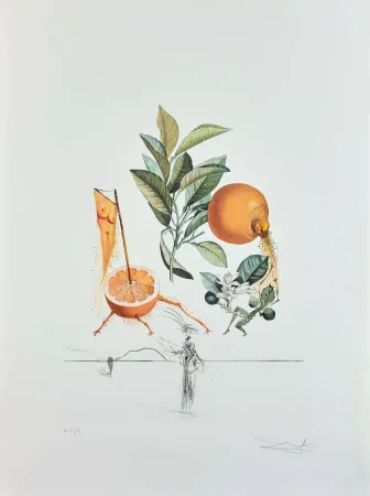 Incisione Dali - Flordali - Pamplemousse Erotique