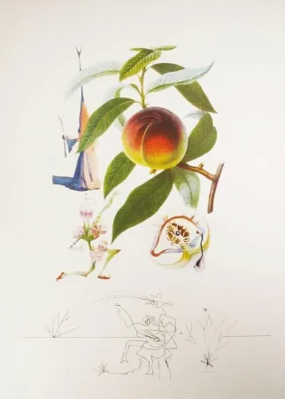 Incisione Dali - Flordali - Pêcher Pénitent