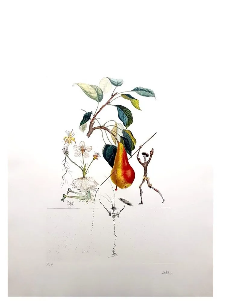 Incisione Dali - Flordali - Poire Don Quixote