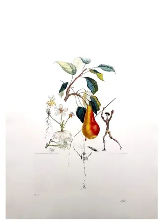 Incisione Dali - Flordali - Poire Don Quixote