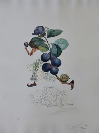 Incisione Dali - Flordali - Prunier Hatif