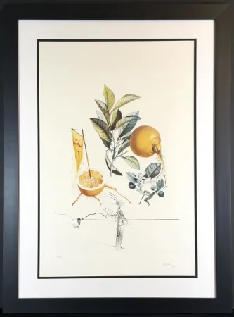Incisione Dali - FlorDali/Les Fruits Grapefruit