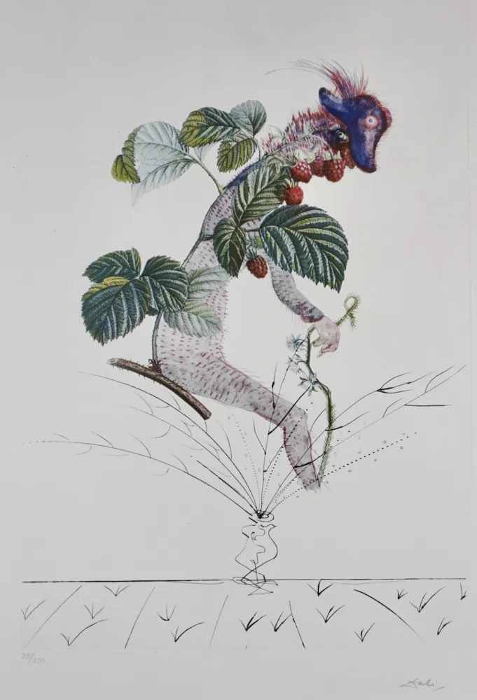 Incisione Dali - FlorDali/Les Fruits Raspberry
