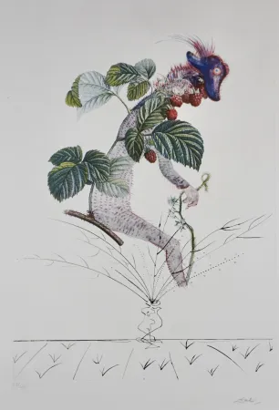 Incisione Dali - FlorDali/Les Fruits Raspberry
