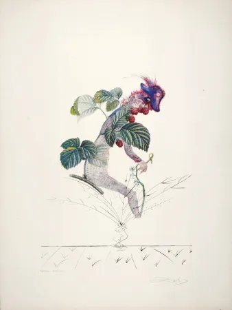 Multiplo Dali - Framboisier, 1969-1970 - Hand-signed!