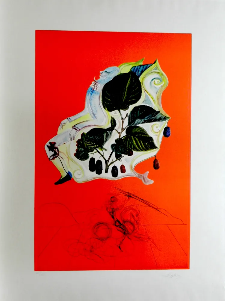 Incisione Dali - Fruits Blackberries