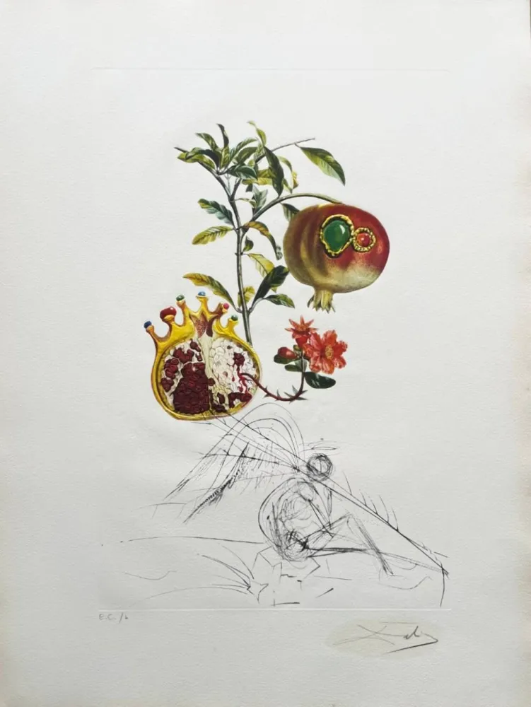 Litografia Dali - Grenade et l’ange (Pomegranate and Angel)