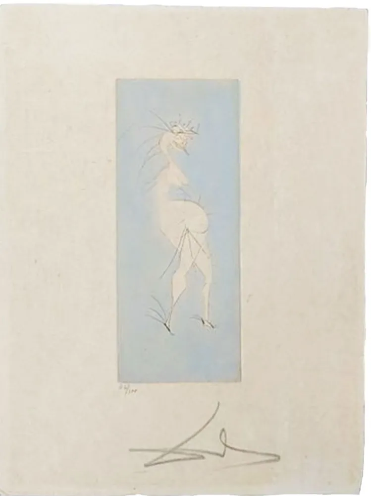 Punta Secca Dali - Grotesque