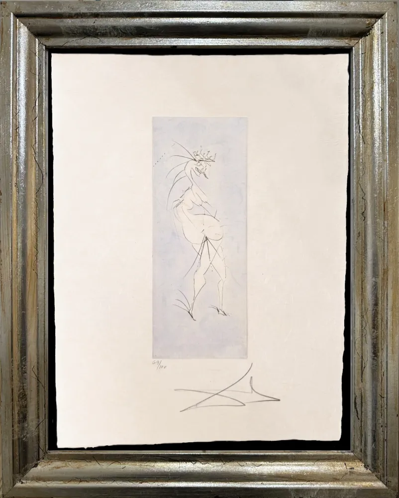 Non Tecnico Dali - Grotesque