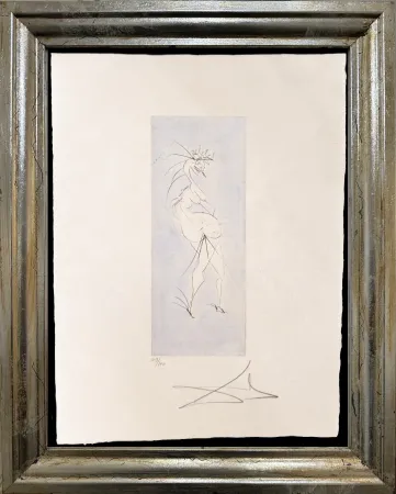 Non Tecnico Dali - Grotesque