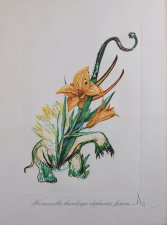 Multiplo Dali - Hemerocallis thumbergii elephanter furiosa, 1972 - Hand-signed!