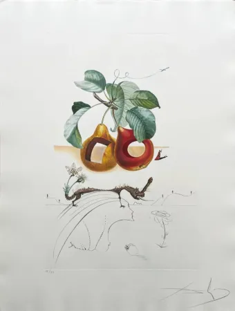 Litografia Dali - Holed Fruit from Flordali suite