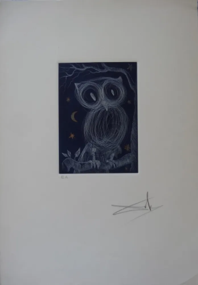 Acquaforte Dali - La petite chouette