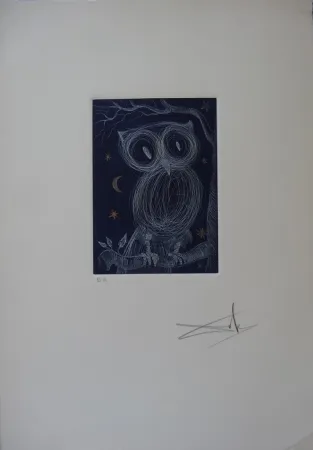 Acquaforte Dali - La petite chouette