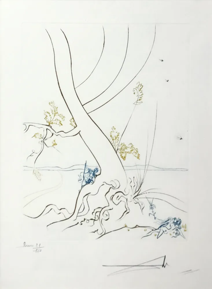 Acquaforte Dali - L'ARBREDE CONNAISSANCE (THE TREE OF KNOWLEDGE)