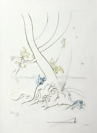 Acquaforte Dali - L'ARBREDE CONNAISSANCE (THE TREE OF KNOWLEDGE)